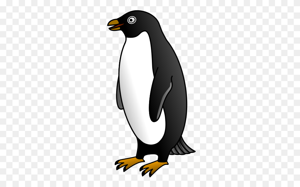 Animal Clip Arts, Bird, Penguin, King Penguin Free Transparent Png