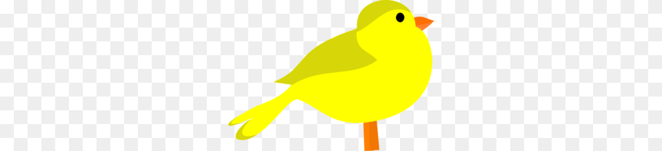 Animal Clip Arts, Bird, Canary Free Png Download