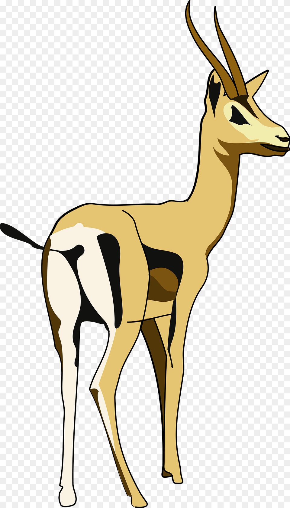 Animal Clipart, Antelope, Gazelle, Mammal, Wildlife Png Image