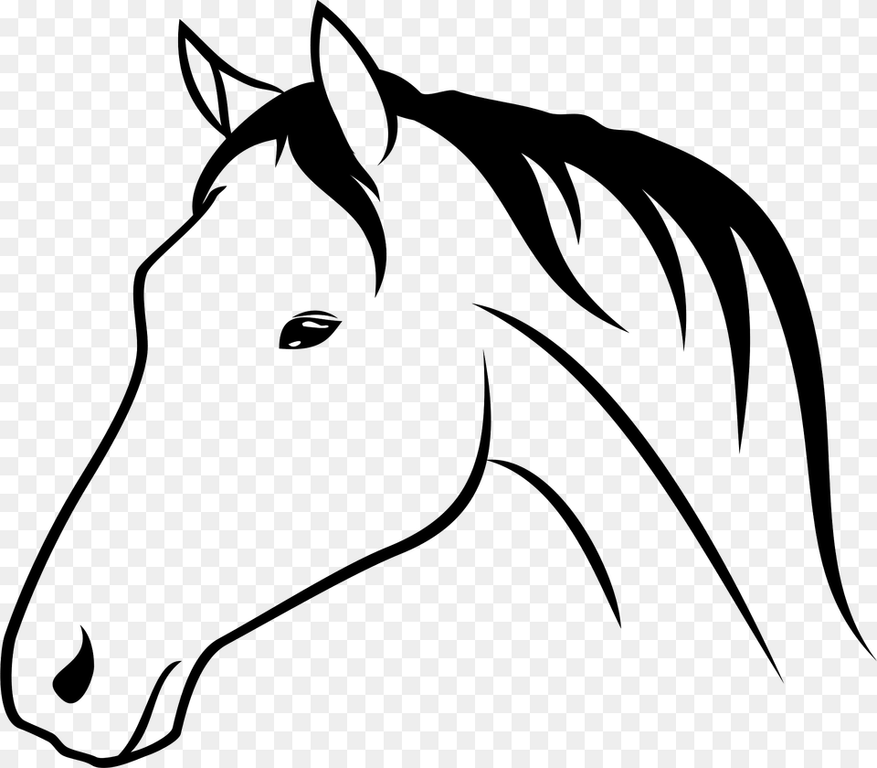 Animal Clipart, Colt Horse, Horse, Mammal, Person Free Transparent Png