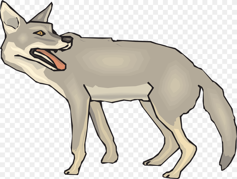 Animal Clipart, Coyote, Mammal, Wolf, Kangaroo Png Image