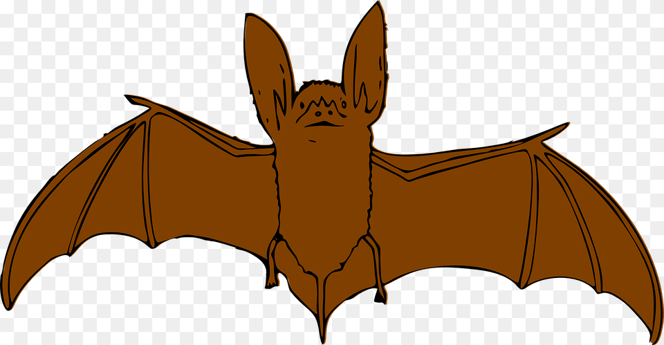 Animal Clipart Bat Brown Bat Clipart, Mammal, Person, Wildlife, Face Free Png Download