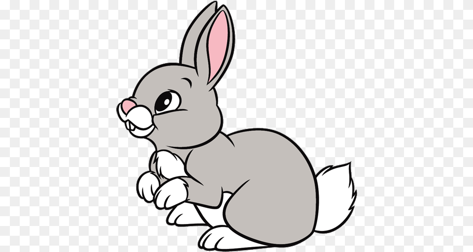 Animal Clipart Rabbit Transparent For Rabbit Clipart, Mammal, Baby, Person, Face Free Png Download