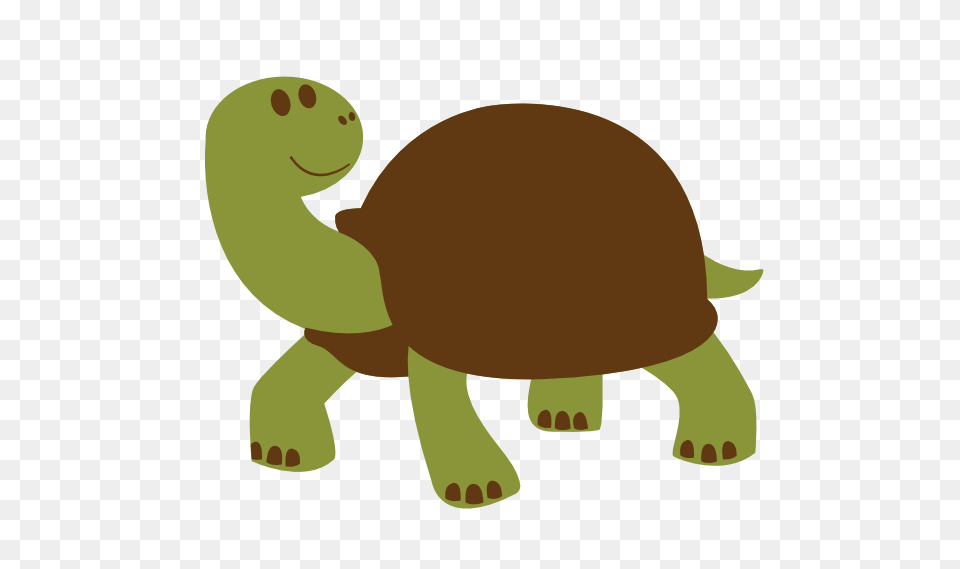Animal Clipart Turtle, Reptile, Sea Life, Tortoise, Bear Png