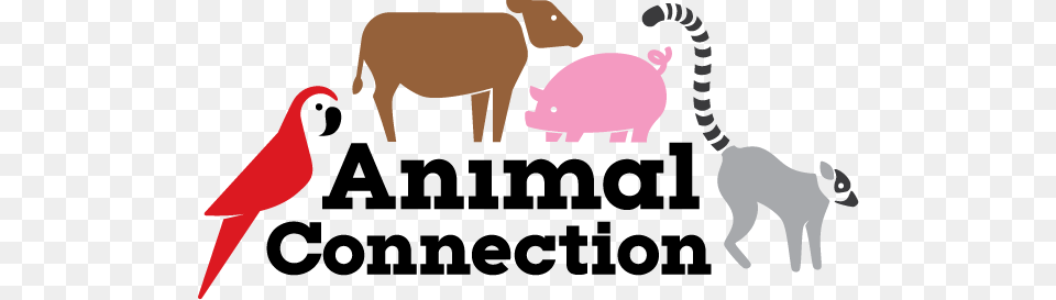 Animal Connection, Bear, Mammal, Wildlife, Elephant Free Transparent Png