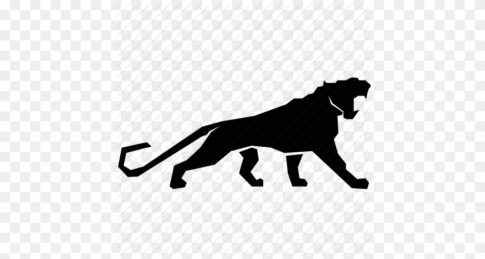 Animal Cougar Puma Icon, Silhouette, Canine, Mammal Png Image