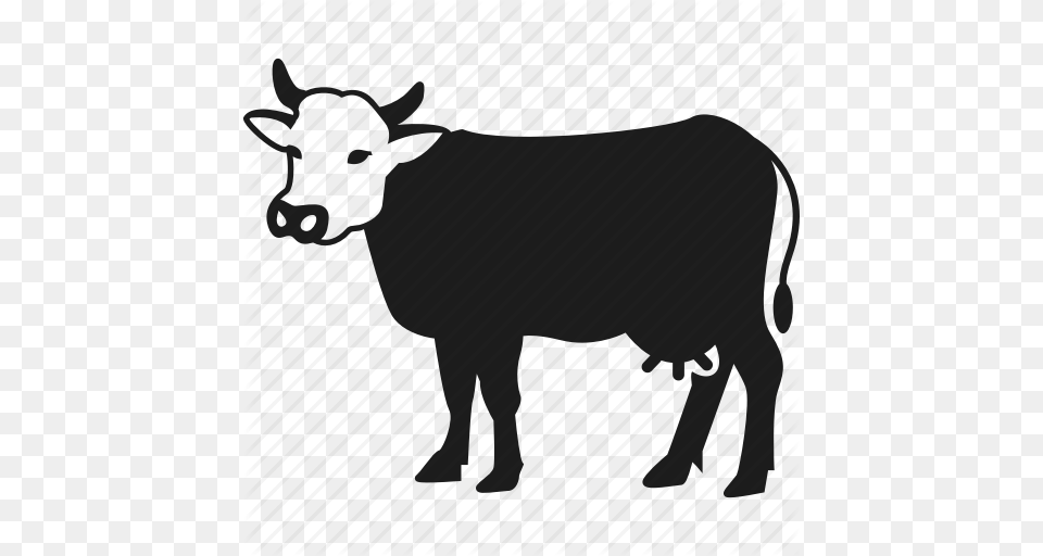 Animal Cow Farm Farm Animal Icon, Cattle, Livestock, Mammal, Bull Png Image