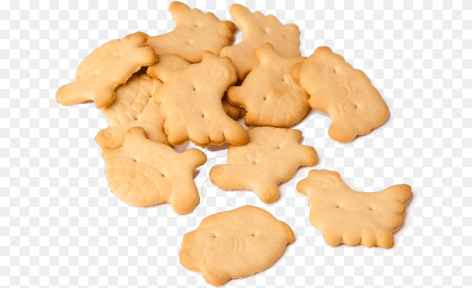 Animal Crackers, Bread, Cracker, Food, Fungus Png Image