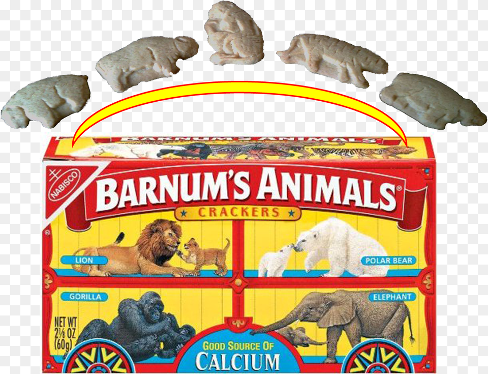 Animal Crackers Original Box, Wildlife, Bear, Circus, Mammal Png Image