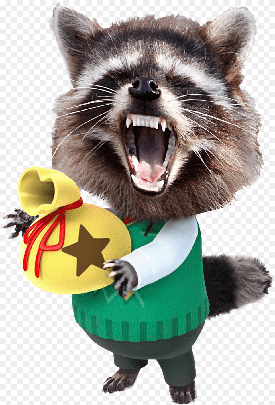 Animal Crossing Tom Nook Tweet, Mammal, Raccoon, Cat, Pet Png