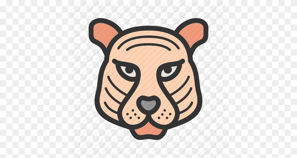 Animal Cub Fast Mammal Predator Tiger Wild Icon, Baby, Person, Face, Head Png