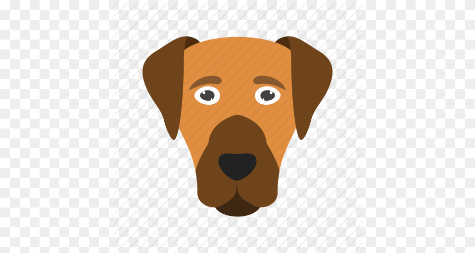 Animal Cute Dog Dogs Eyes Face Puppy Icon, Snout, Canine, Mammal, Head Png Image