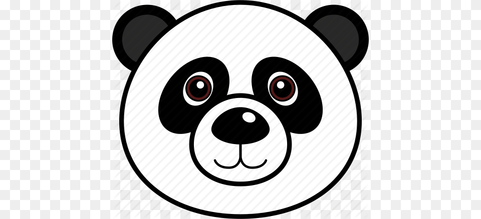 Animal Cute Face Head Panda Wild Icon, Person Free Transparent Png