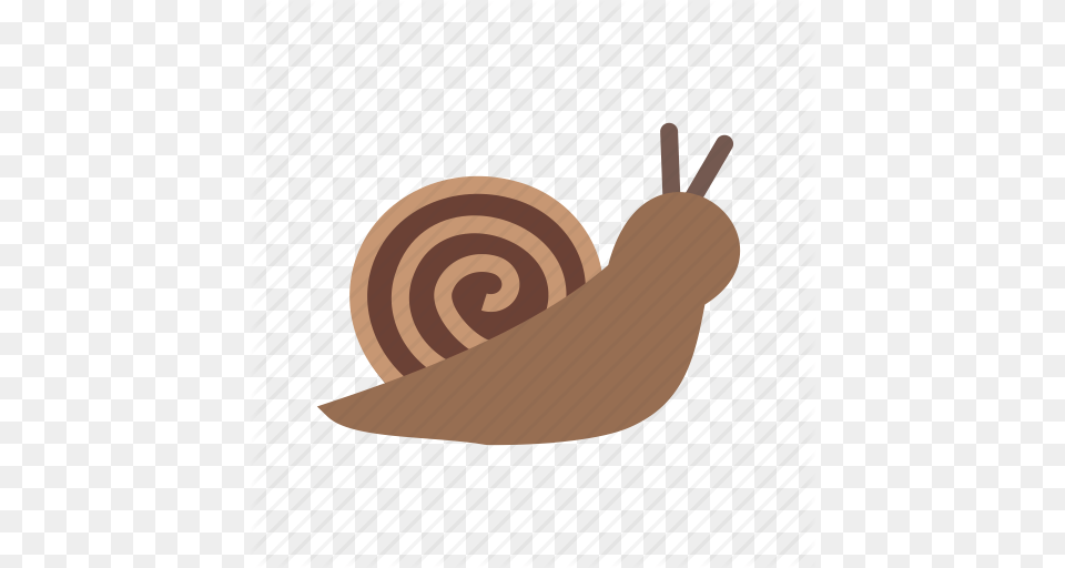 Animal Cute Garden Shell Slow Small Snail Icon, Invertebrate, Blade, Dagger, Knife Free Transparent Png
