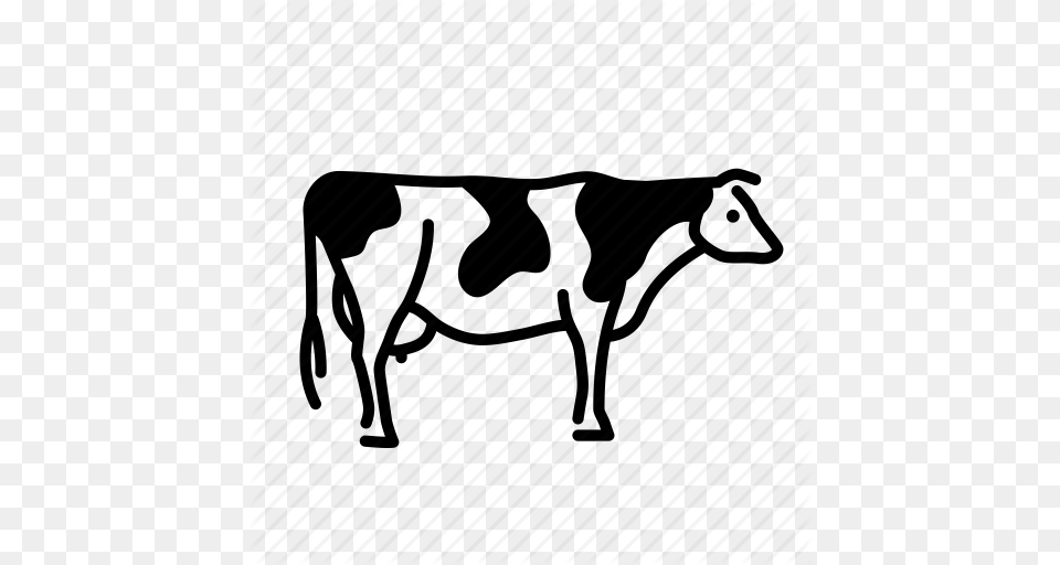 Animal Dairy Cattle Farm Mammal Milch Milk Cow Icon, Livestock, Dairy Cow Free Png