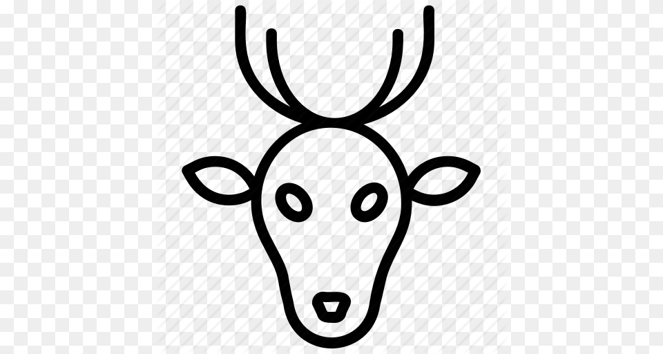 Animal Deer Deer Antlers Deer Creek Deer Lake Musk Deer Icon, Mammal, Wildlife, Elk, Antler Free Png