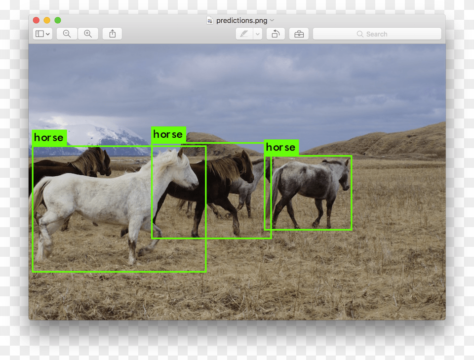 Animal Detection Using Yolo, Rural, Ranch, Pasture, Countryside Free Transparent Png
