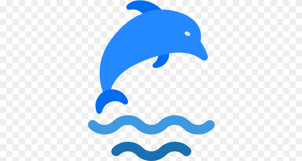 Animal Dolphin Animals Aquarium Aquatic Sea Life Icon Dolphin Icon, Mammal, Sea Life, Bear, Wildlife Free Png Download