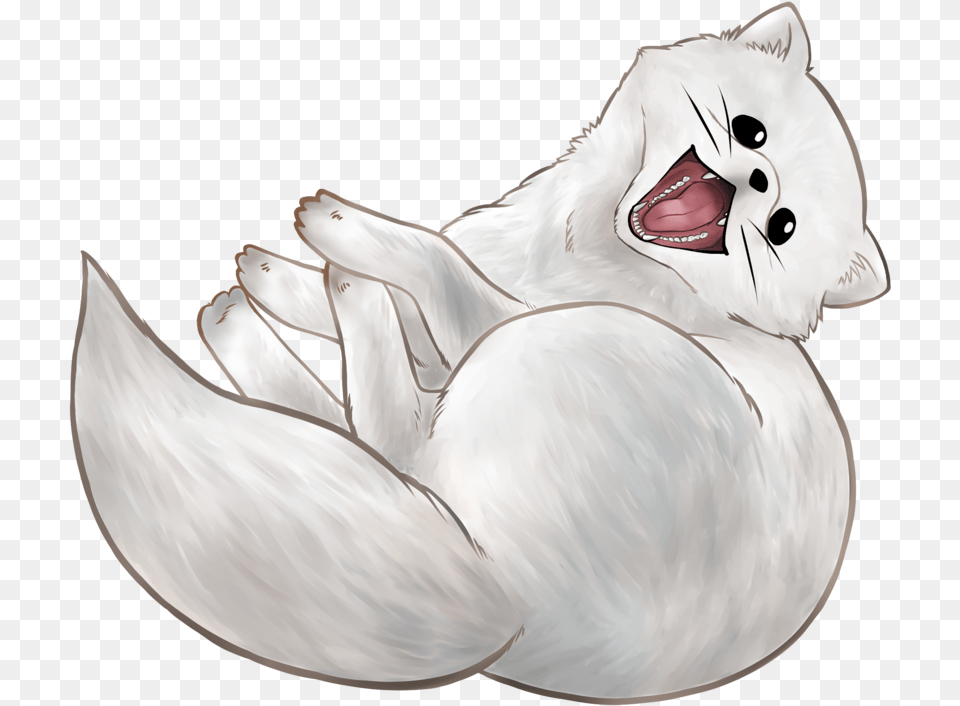 Animal Drawings U2014 Haruka Illustration Arctic Fox, Mammal, Fish, Sea Life, Shark Free Png Download