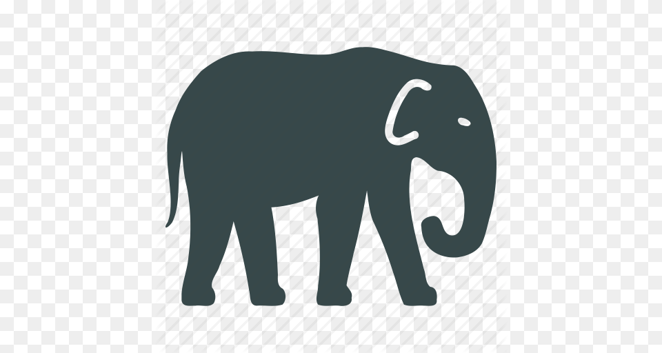 Animal Elephant Fauna Mammal Mammoth Nature Wildlife Icon Free Transparent Png