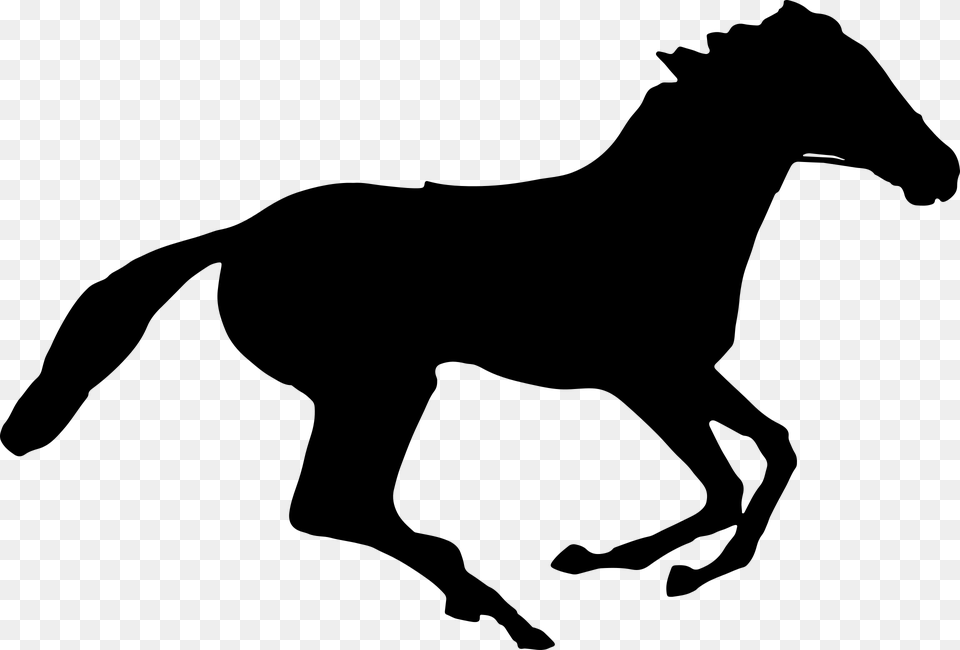 Animal Equine Horse Ride Silhouette Running Horse Silhouette Transparent, Gray Png Image