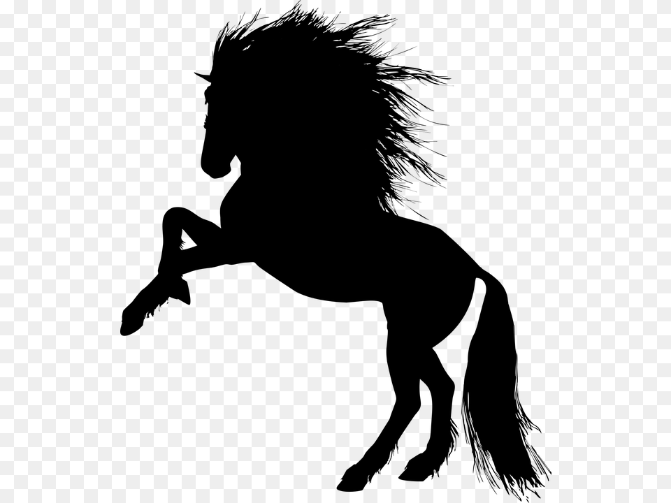 Animal Equine Rearing Horse Silhouette Ride Rearing Unicorn, Gray Free Png Download