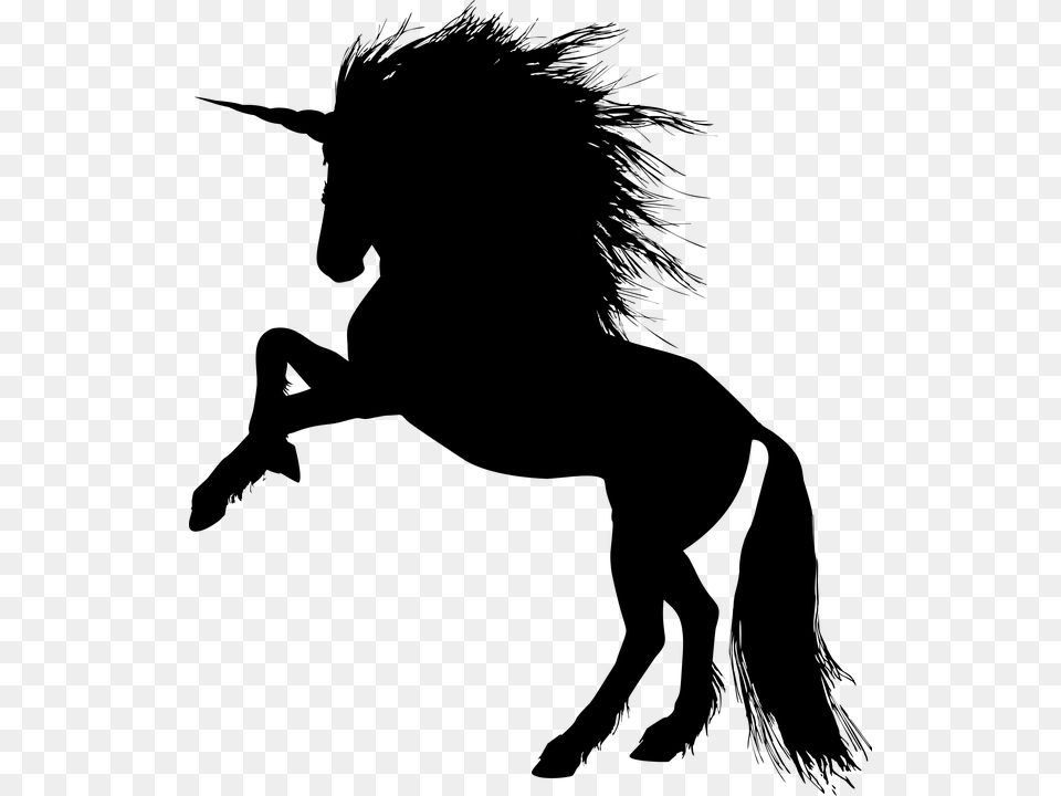 Animal Equine Rearing Horse Silhouette Ride Rearing Unicorn Clipart, Gray Free Png