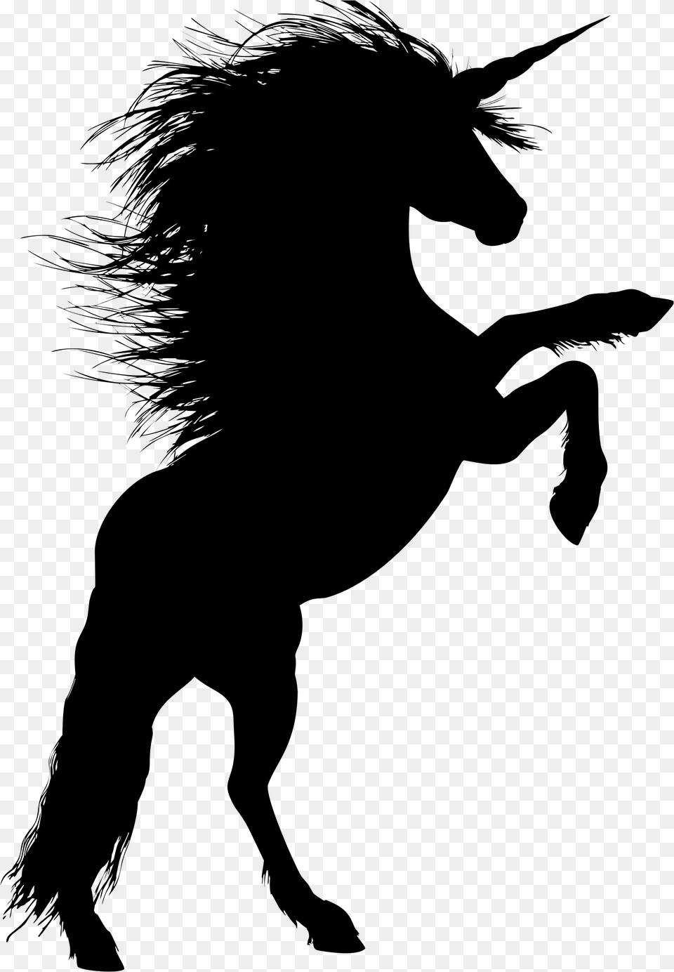 Animal Equine Rearing Horse Silhouette Ride Unicorn Silhouette Rearing Up, Gray Free Png