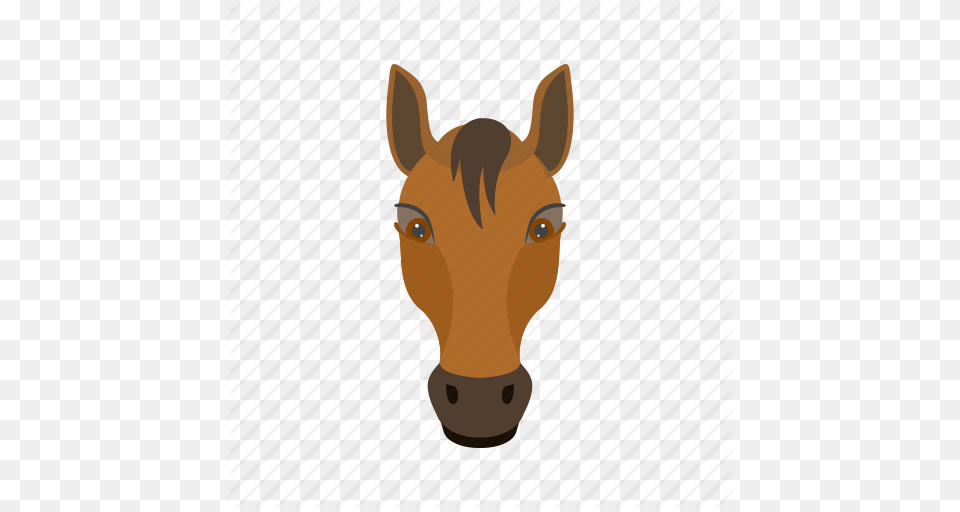 Animal Face Fast Horse Horses Race Riding Icon, Colt Horse, Mammal, Snout, Pig Png