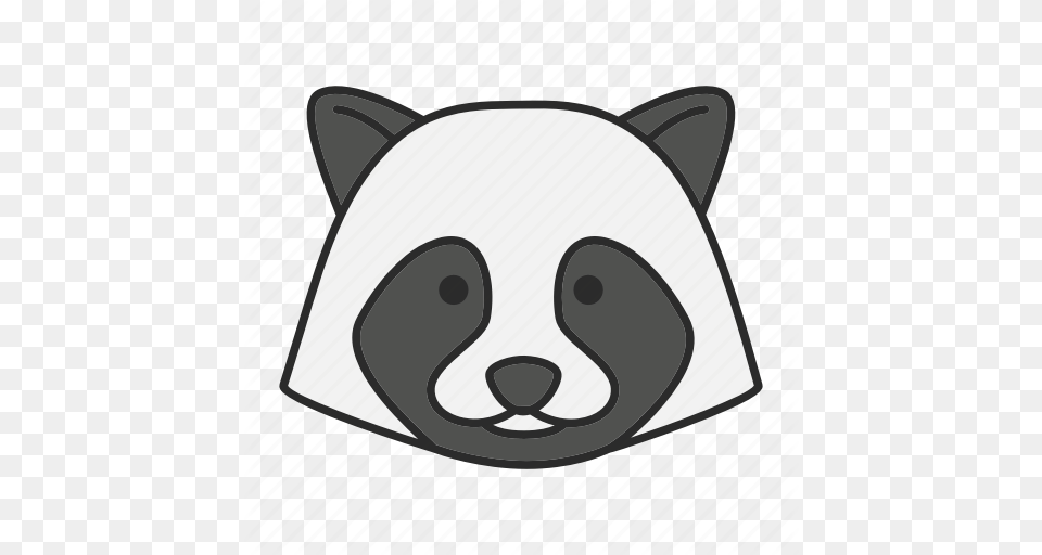 Animal Face Pet Raccoon Racoon Wildlife Zoology Icon, Snout, Disk, Mammal, Bear Free Png