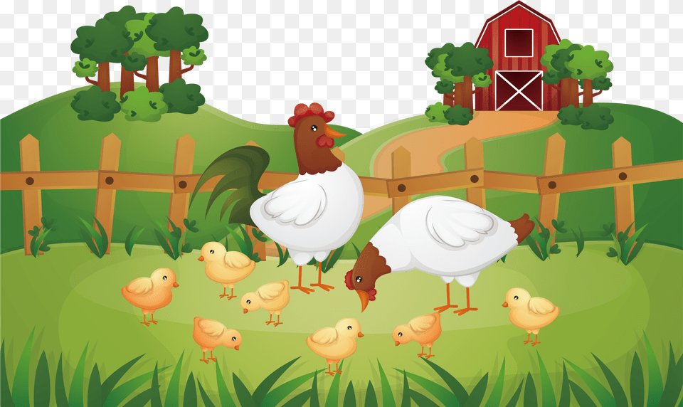 Animal Farm Chicken Rooster Poultry Farming Poultry Farm, Bird, Fowl, Hen, Outdoors Free Png