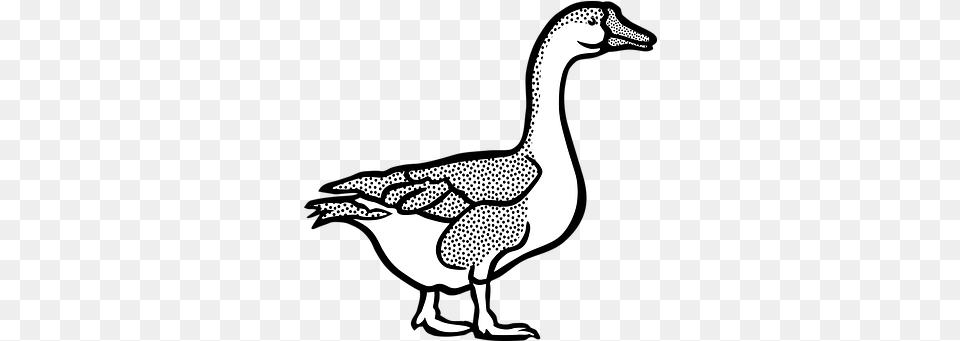 Animal Farm Geese Goose Tier Goose Black And White Goose In Black And White, Anseriformes, Bird, Waterfowl, Adult Free Png Download