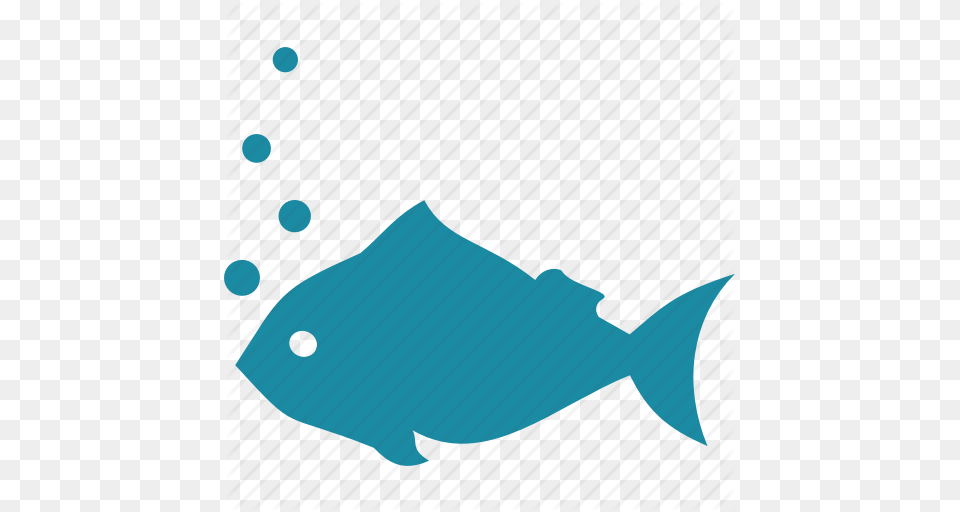 Animal Fauna Fish Ocean Sea Icon, Sea Life, Tuna Free Png Download