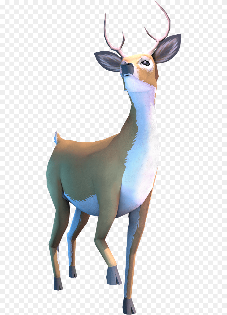 Animal Figure, Deer, Mammal, Wildlife, Antelope Free Transparent Png