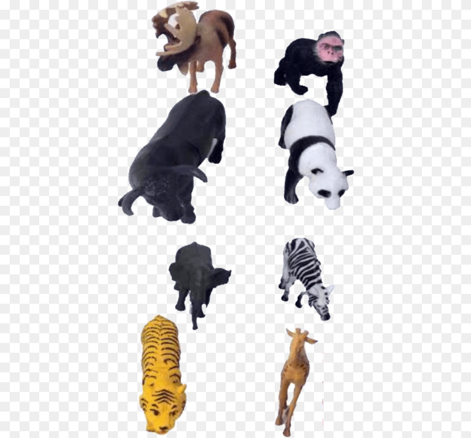Animal Figure, Pet, Mammal, Dog, Canine Free Png