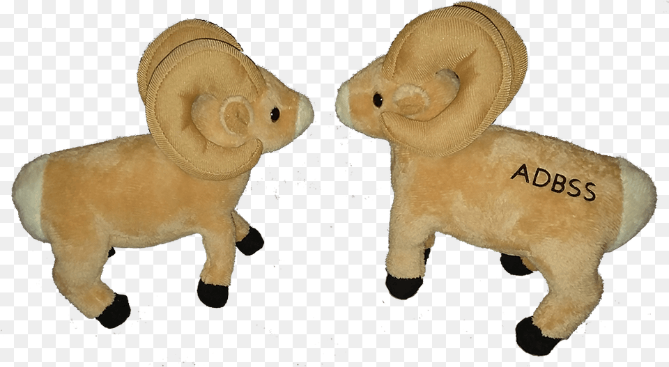 Animal Figure, Plush, Toy, Bear, Mammal Free Transparent Png