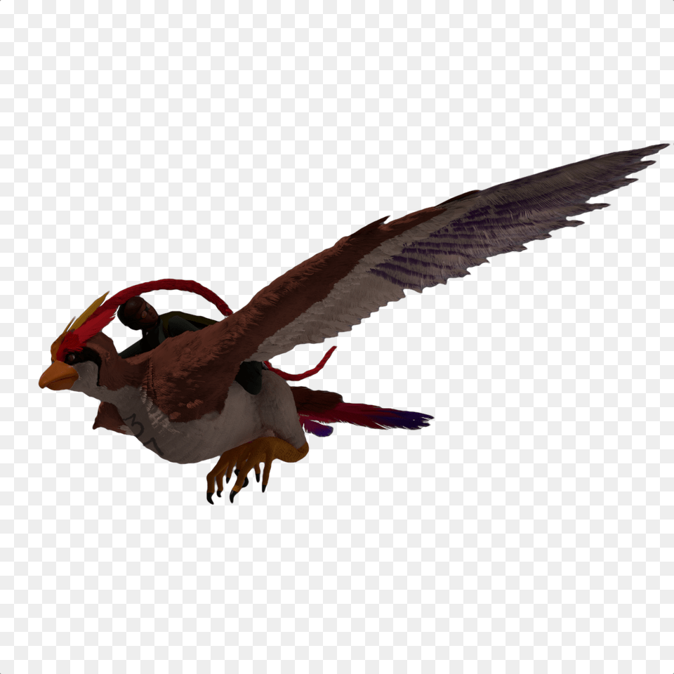 Animal Figure, Beak, Bird, Flying, Finch Png