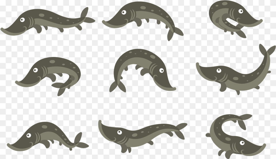 Animal Figure, Fish, Sea Life, Amphibian, Salamander Png