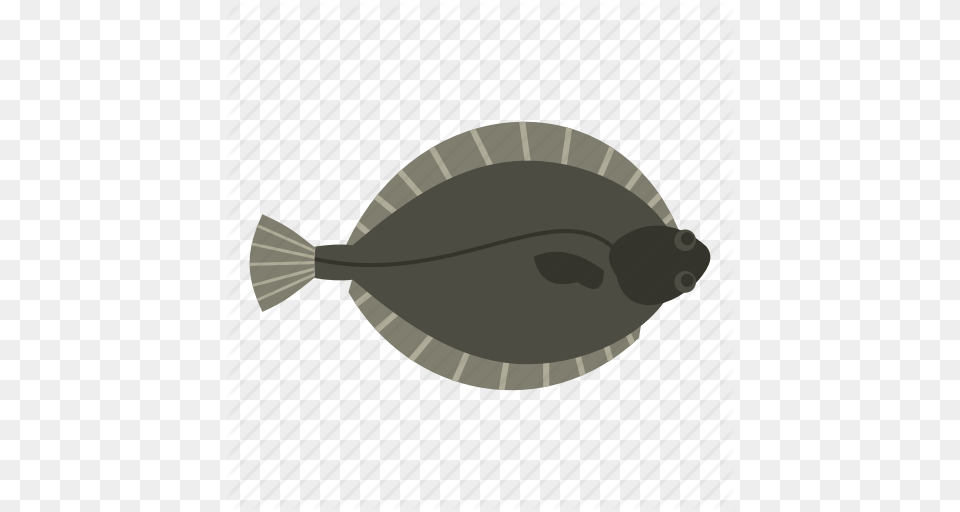 Animal Fish Flatfish Flounder Food Fresh Seafood Icon, Sea Life, Halibut, Shark Png Image