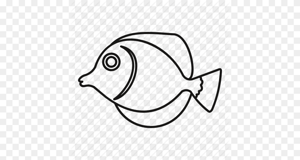 Animal Fish Line Marine Outline Reef Tropical Icon, Clothing, Hat, Baseball Cap, Cap Free Png