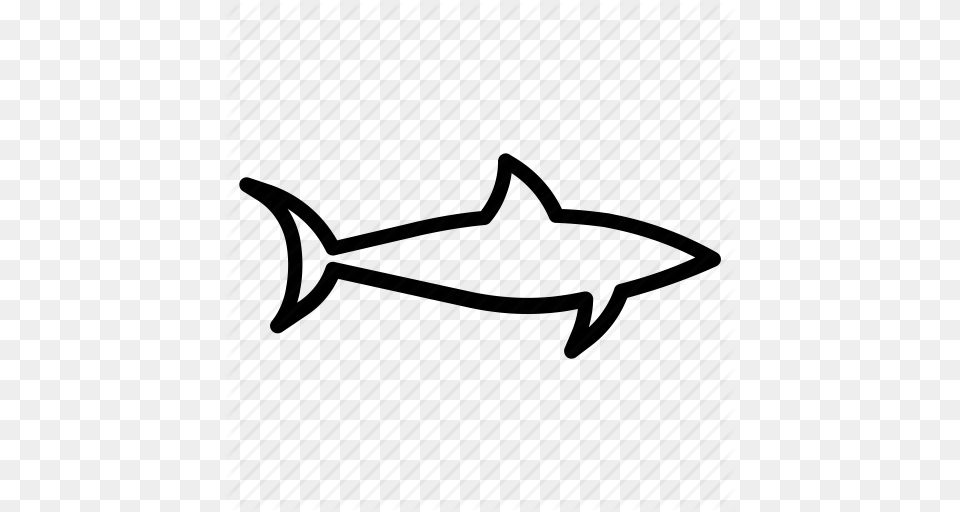 Animal Fish Predator Sea Shark Tiburon Tubarao Icon, Sea Life Png Image