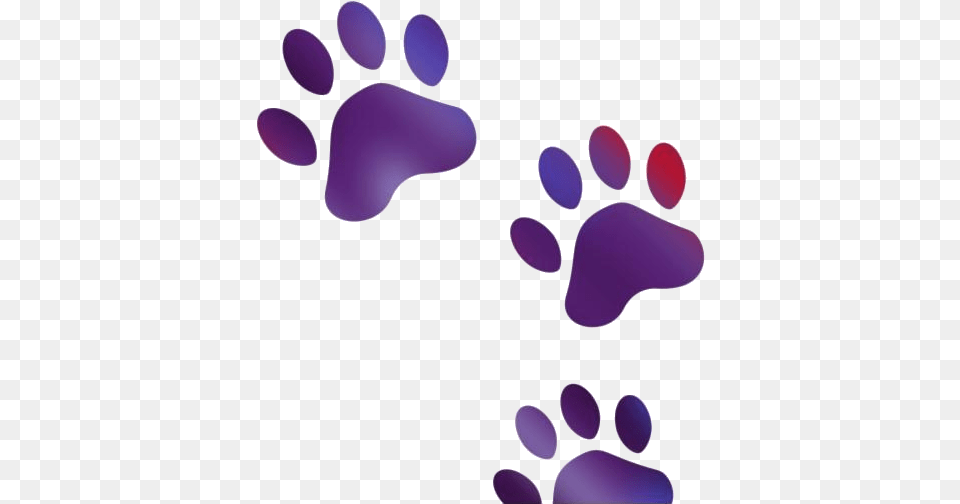 Animal Footprint Hd Images Transparent Vectors Transparent Dog Print, Flower, Petal, Plant, Purple Png