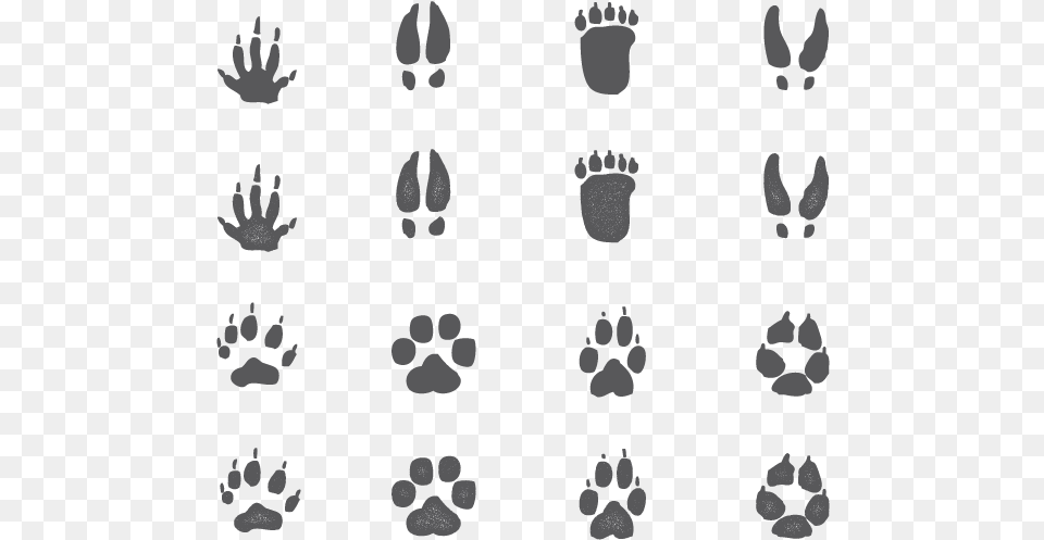 Animal Footprints, Footprint, Person Free Png Download