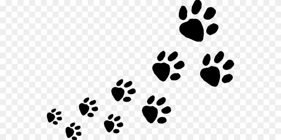 Animal Footprints Clip Art, Blackboard, Footprint Free Png Download