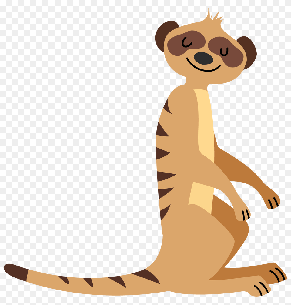 Animal Fun Meerkat Program Animal Fun, Mammal, Kangaroo, Bear, Wildlife Png Image
