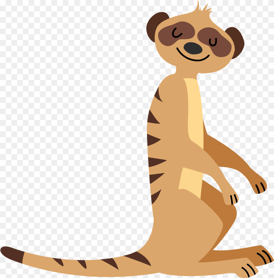 Animal Fun Meerkat Program Cartoon Mongoose, Mammal, Baby, Person, Face Png Image