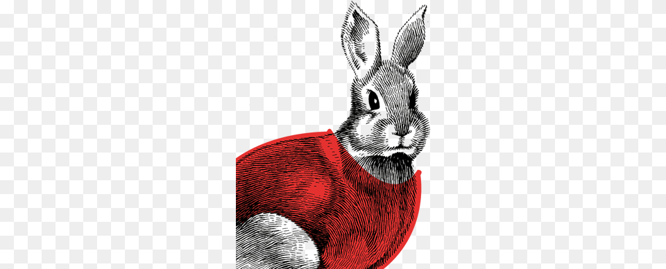 Animal Gender Rabbit Ethnicity 100 Moscato Nationality Wine, Mammal Free Png