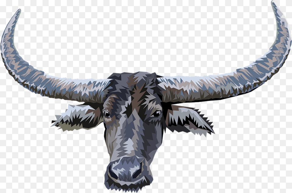 Animal Head Buffalo Free Vector Graphic On Pixabay Animal Head Buffalo, Cattle, Mammal, Longhorn, Livestock Png