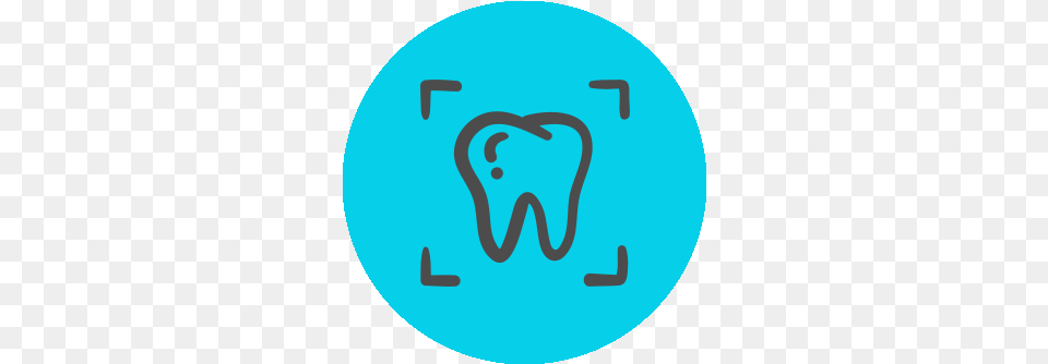 Animal Health Midmark Animal Health Digital Dental X Ray Icon, Leisure Activities, Person, Sport, Swimming Free Png Download