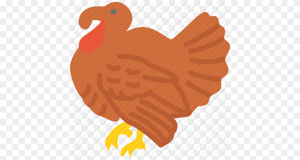 Animal Holidays Meat Thanksgiving Turkey Icon, Bird, Chicken, Fowl, Hen Free Png Download